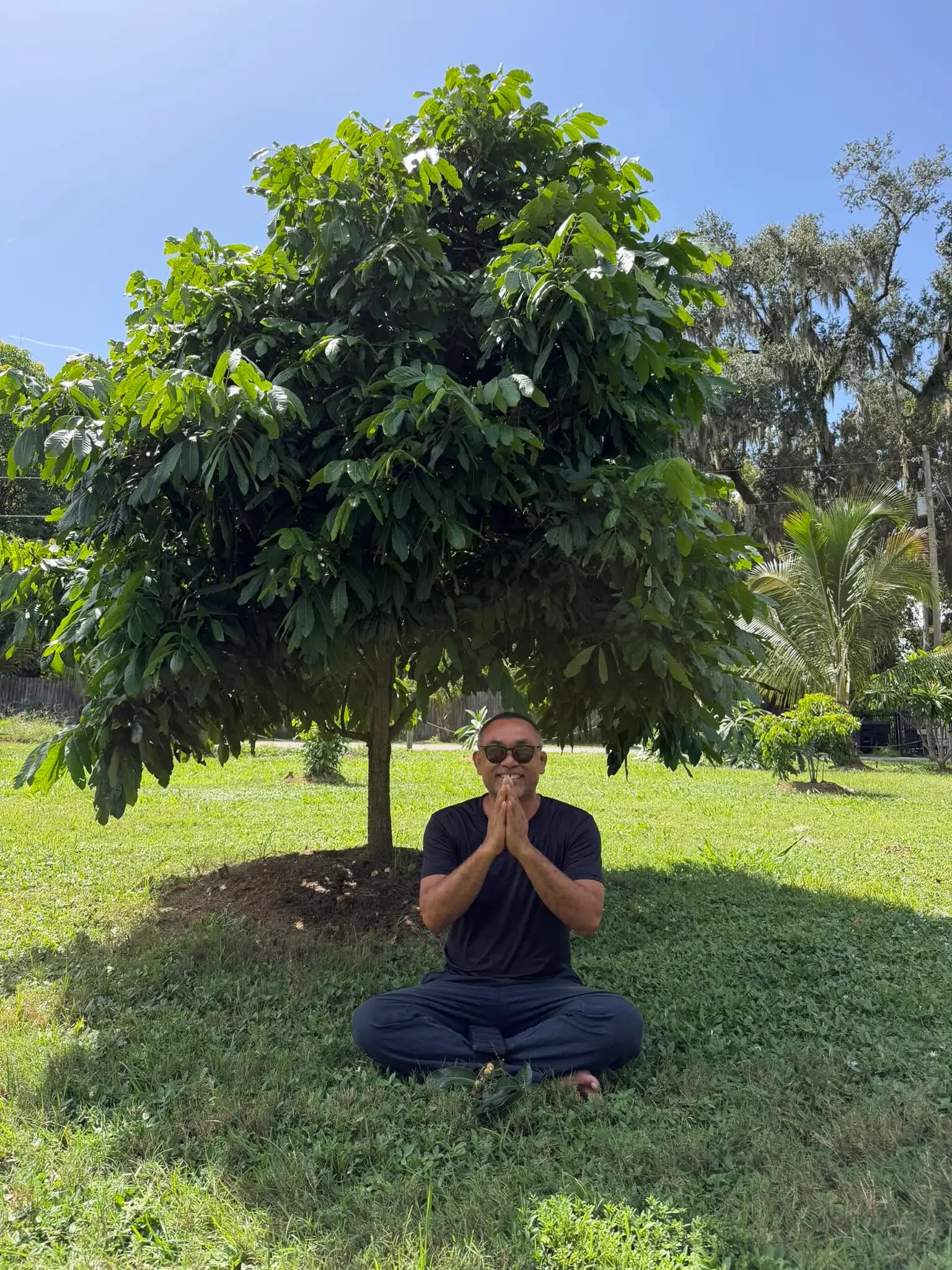 Person seated beneath a tree in a park